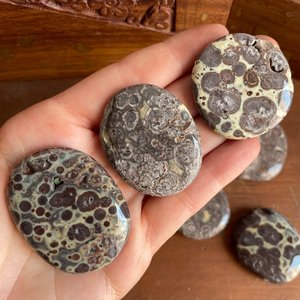 Leopardskin Jasper Palm Stone