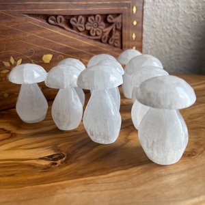 White Selenite Mushroom