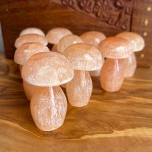 Peach Selenite Mushroom
