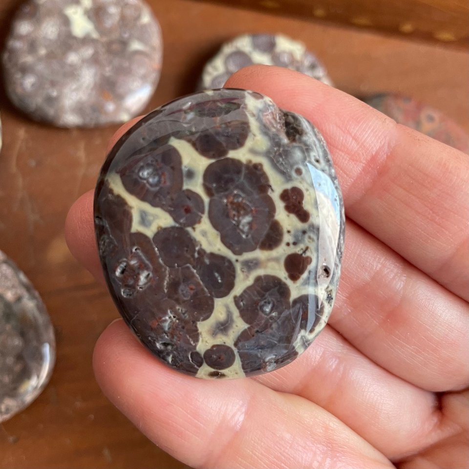 Leopardskin Jasper Palm Stone